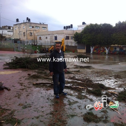 العاصفة تضرب اقدم شجرة في كفرقاسم ...وبلطفا من الله لم تقع اضرار 